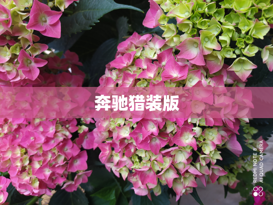 奔驰猎装版