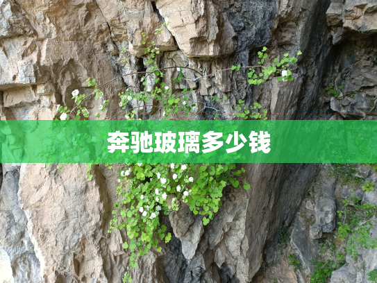 奔驰玻璃多少钱