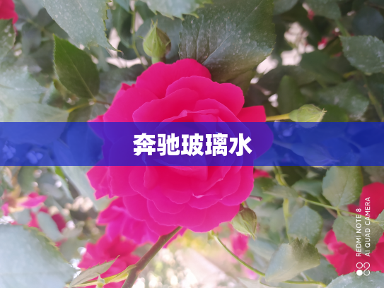 奔驰玻璃水