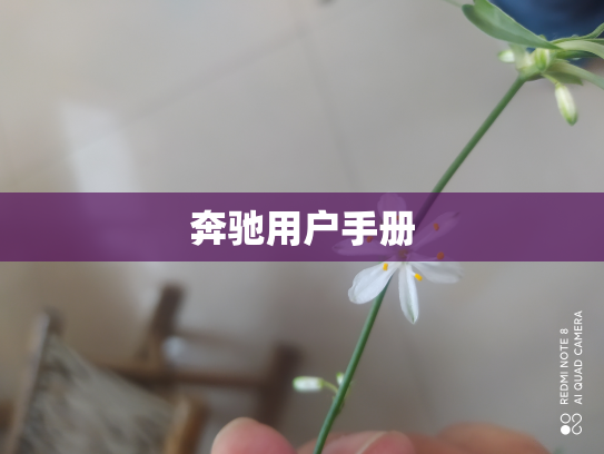 奔驰用户手册