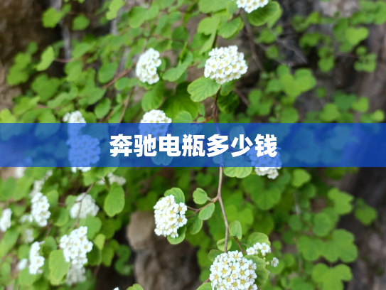 奔驰电瓶多少钱