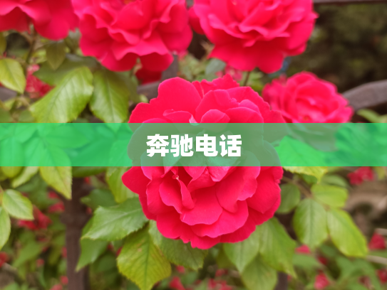 奔驰电话
