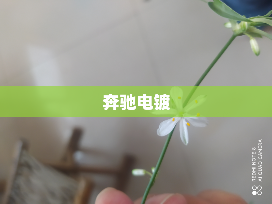 奔驰电镀