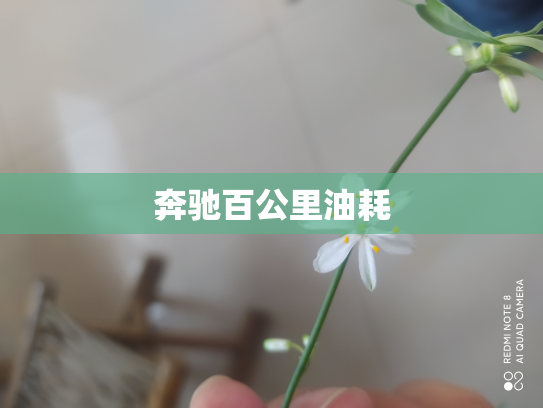 奔驰百公里油耗