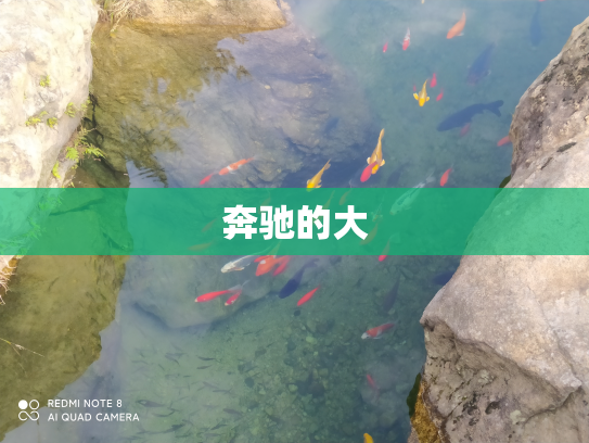 奔驰的大