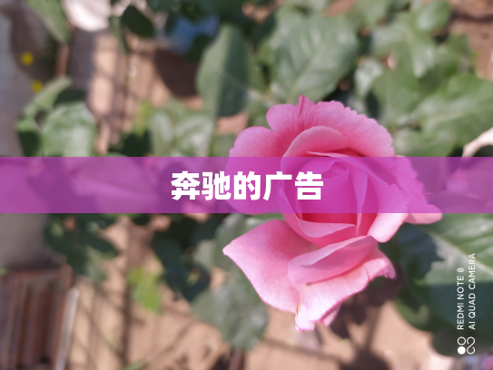 奔驰的广告