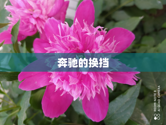 奔驰的换挡