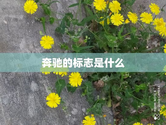 奔驰的标志是什么