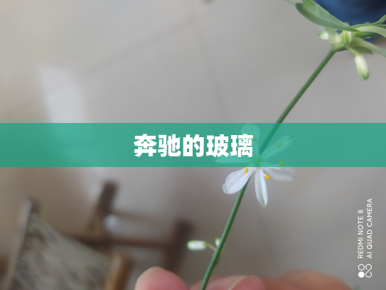 奔驰的玻璃