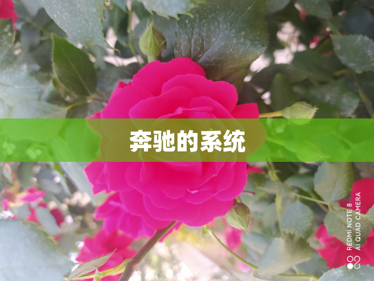 奔驰的系统