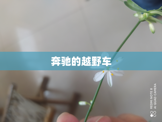 奔驰的越野车