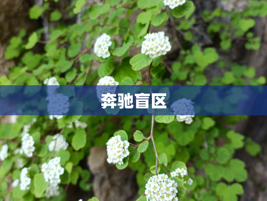 奔驰盲区