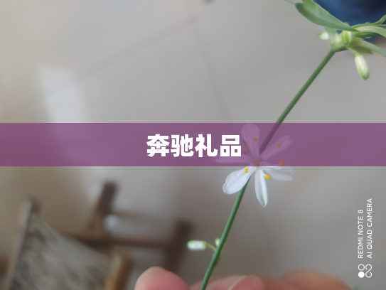 奔驰礼品