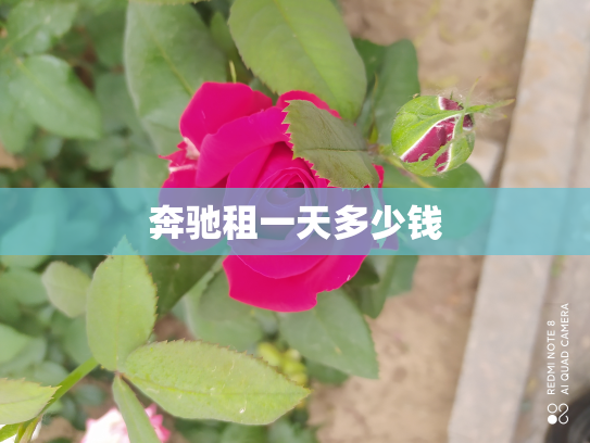 奔驰租一天多少钱