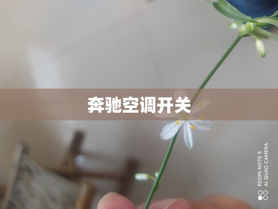 奔驰空调开关