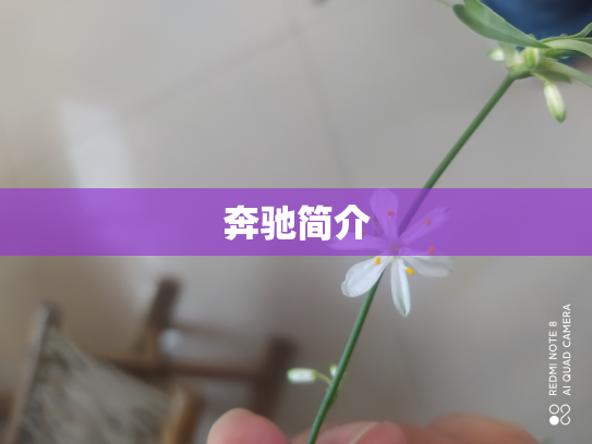奔驰简介