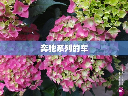 奔驰系列的车