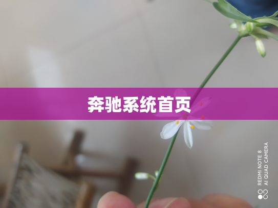 奔驰系统首页