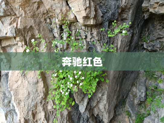 奔驰红色