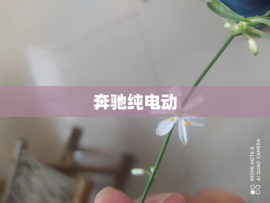 奔驰纯电动