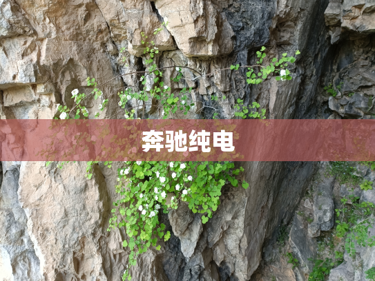 奔驰纯电