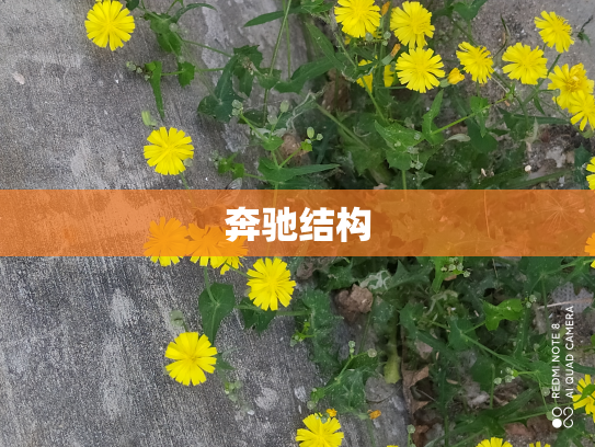 奔驰结构