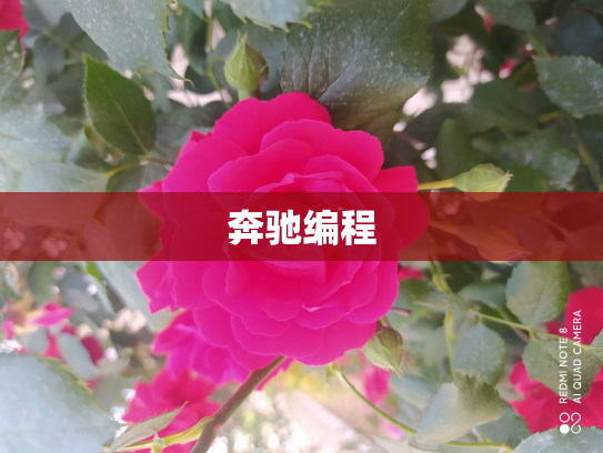 奔驰编程