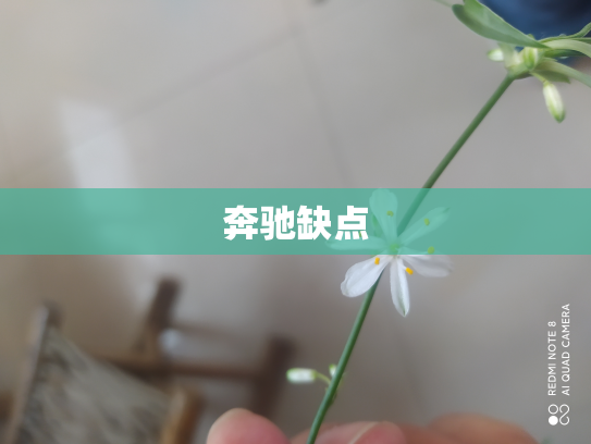奔驰缺点