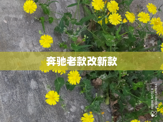 奔驰老款改新款