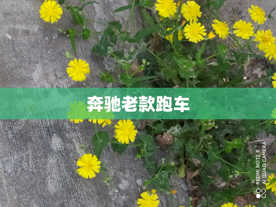 奔驰老款跑车