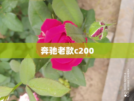奔驰老款c200