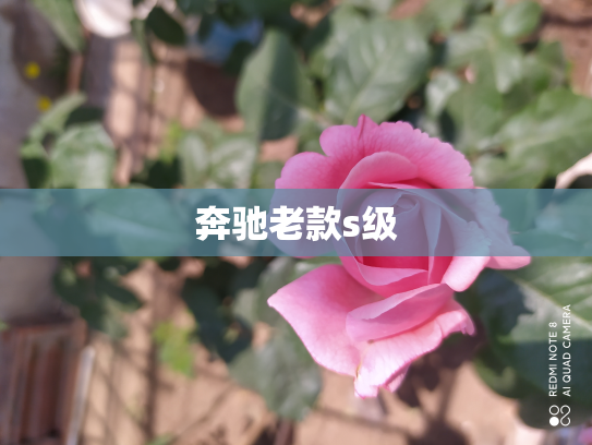 奔驰老款s级