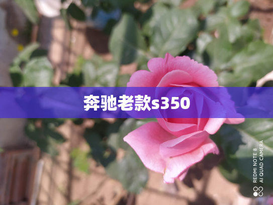 奔驰老款s350