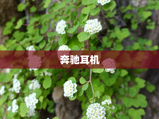 奔驰耳机