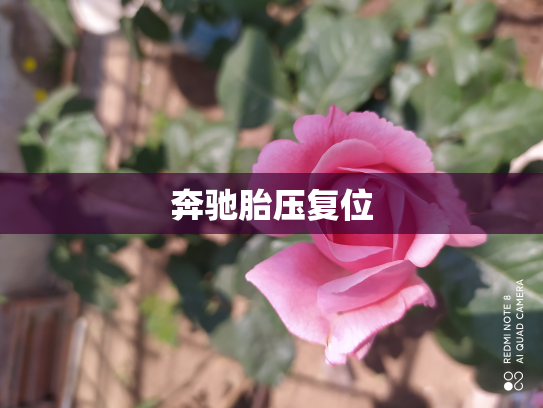 奔驰胎压复位
