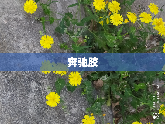 奔驰胶