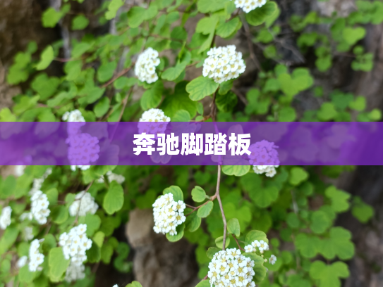 奔驰脚踏板