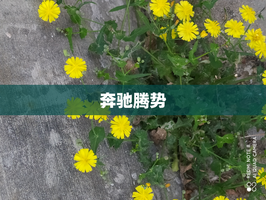 奔驰腾势