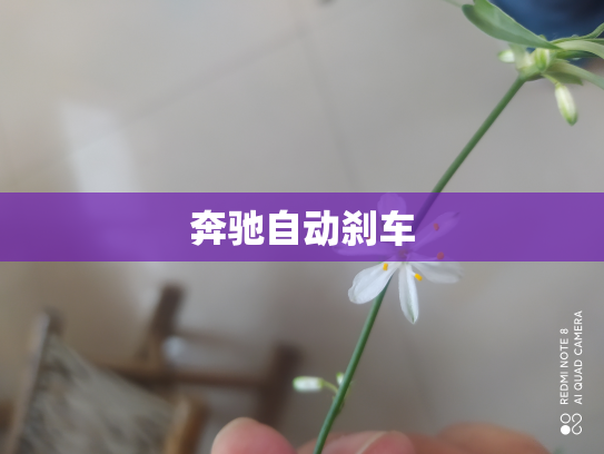 奔驰自动刹车