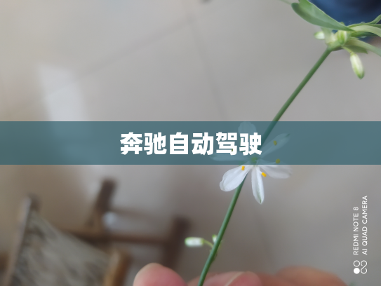 奔驰自动驾驶
