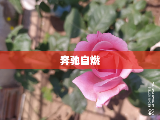 奔驰自燃
