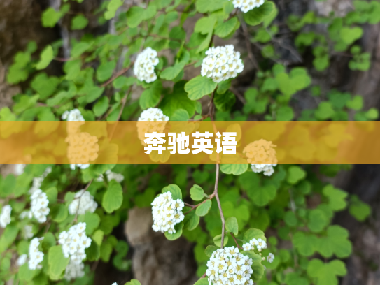 奔驰英语