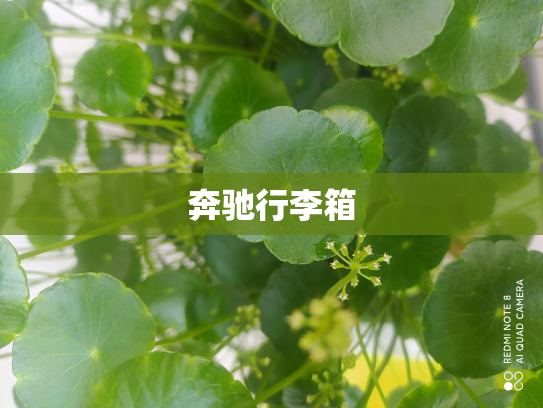 奔驰行李箱