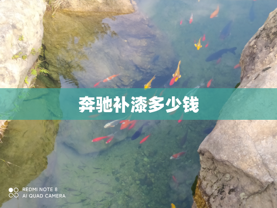 奔驰补漆多少钱