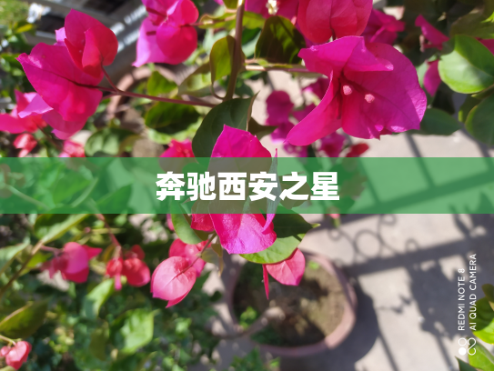 奔驰西安之星