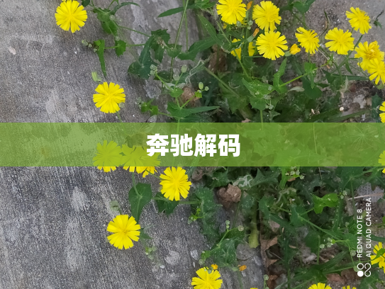 奔驰解码