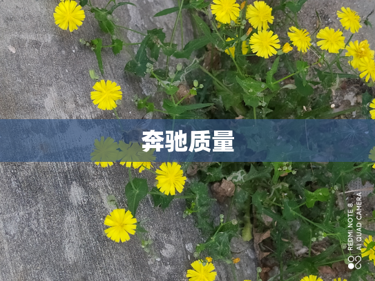 奔驰质量