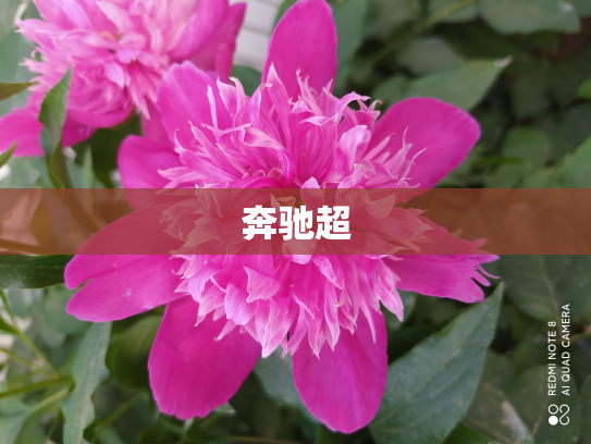 奔驰超