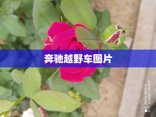 奔驰越野车图片