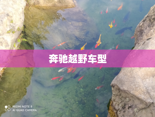 奔驰越野车型